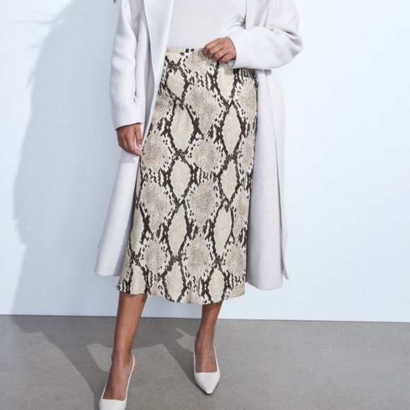 H&M Snake Print Maxi Women’s Skirt (Size 4) - Picture 1 of 8